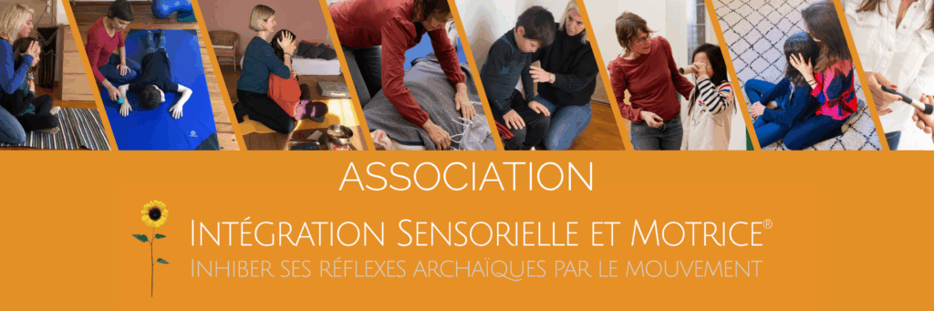 ISM_bannière web_HD